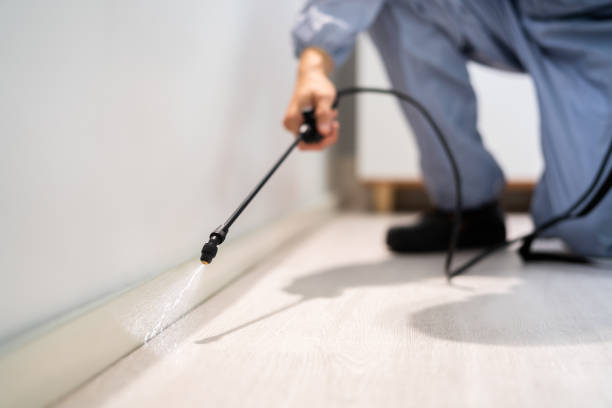 Licensed Mosquito Control service in Winchester, CA - Nex Pest Control