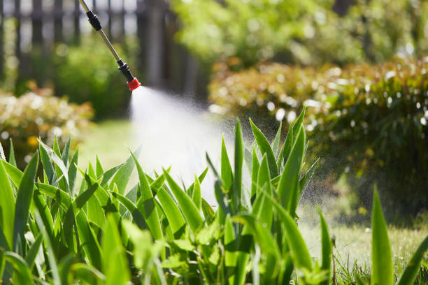 24/7 Emergency Mosquito Control experts in Winchester, CA
